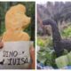 Descubre la Exclusiva Encuentro de Dinoquesadillas Coahuilenses en la CDMX: Sabor y Innovación en cada Mordisco.