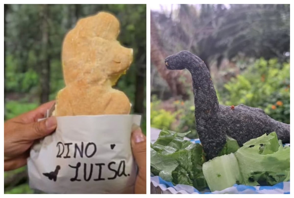 Descubre la Exclusiva Encuentro de Dinoquesadillas Coahuilenses en la CDMX: Sabor y Innovación en cada Mordisco.