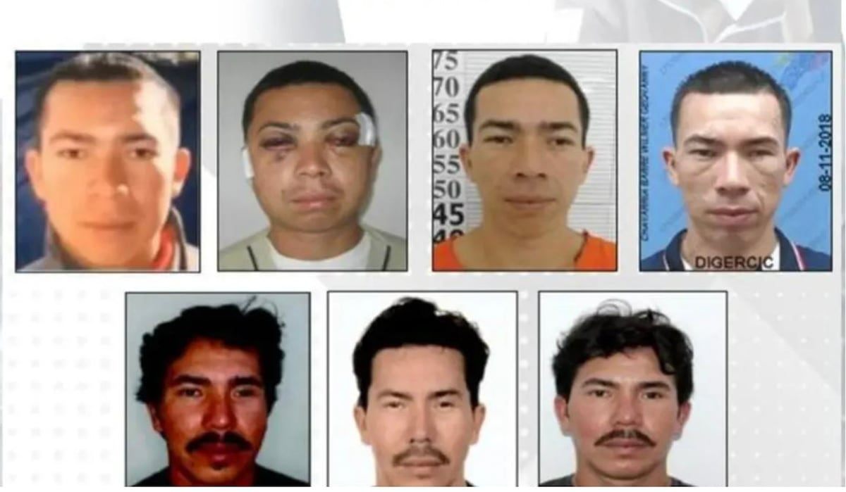 "La justicia vuela alto: autoridad ecuatoriana logra extraditar al legendario jefe del crimen Pipo, figura clave en la Mafia en un país que temía su poder"